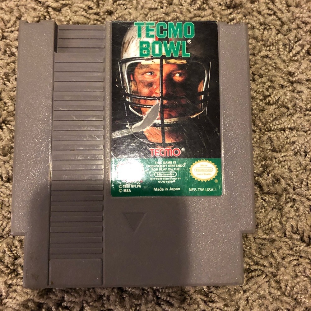 Techno Bowl Nintendo Game